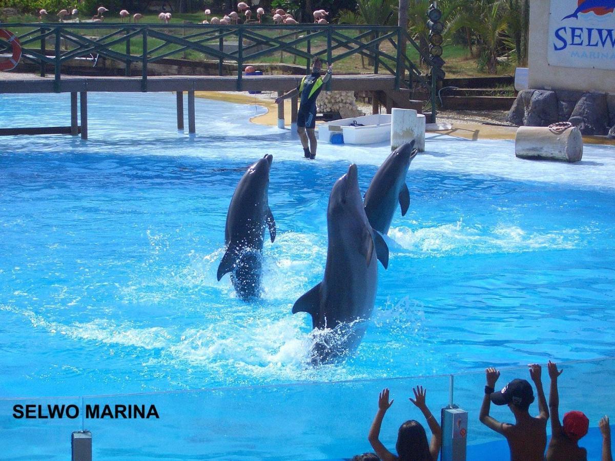 Estudio Jupiter Benalmadena Cerca Playa Apartment Ngoại thất bức ảnh